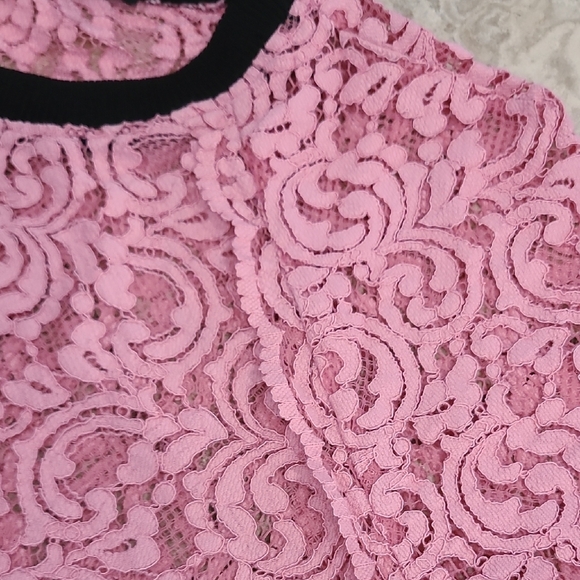 Zara Pink Lace Sweater with Black Trim - Picture 3 of 7